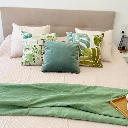 Mg Puerto Centro 또레비에하