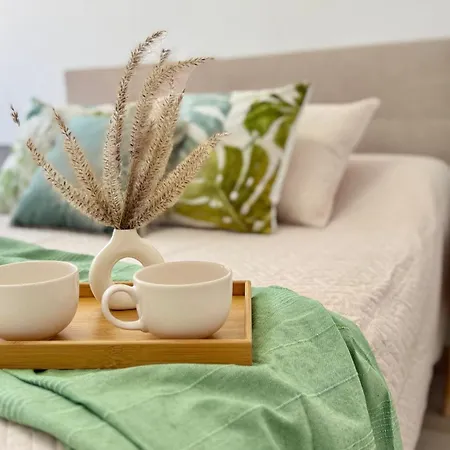 Mg Puerto Centro 아파트 또레비에하